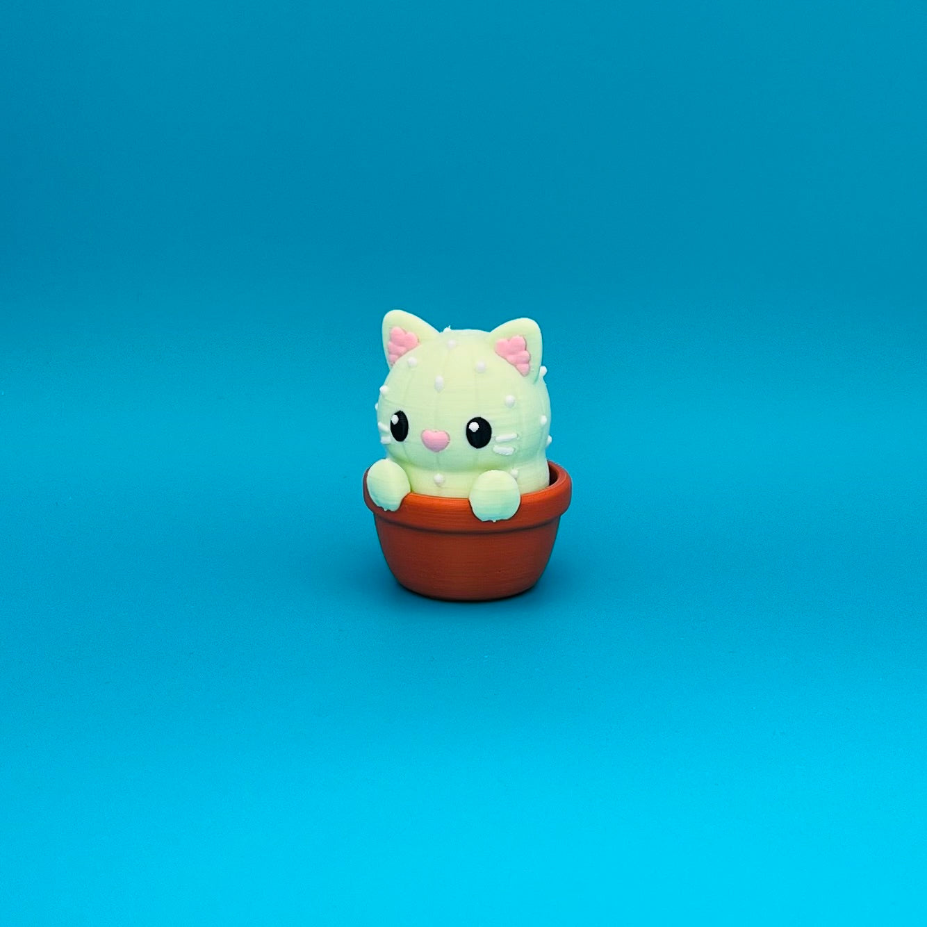 CATtus