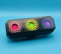 NeeDoh Teenie Fuzz Ball Case