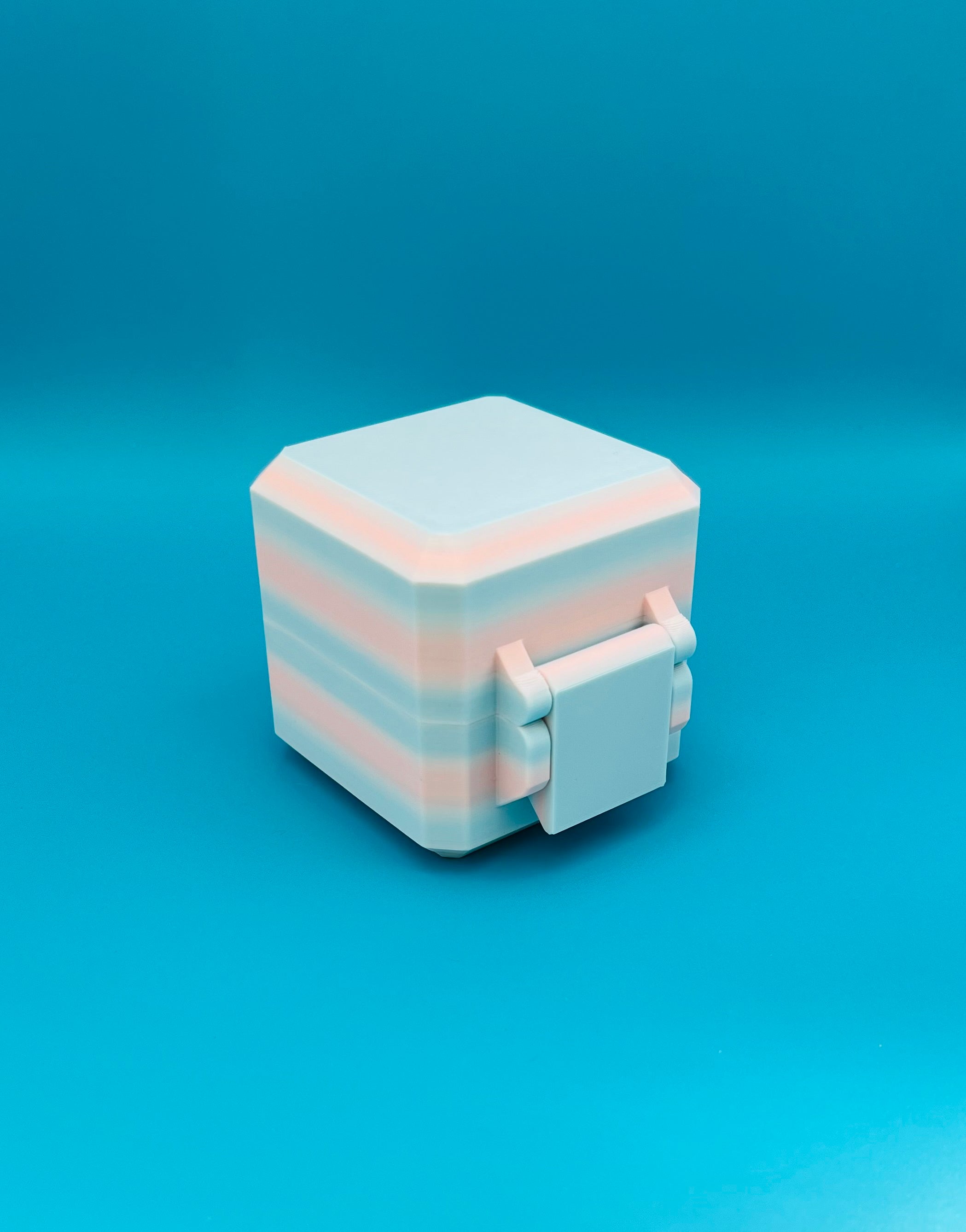 NeeDoh Nice Cube Case