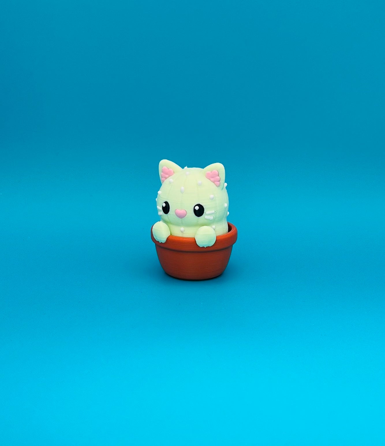 CATtus