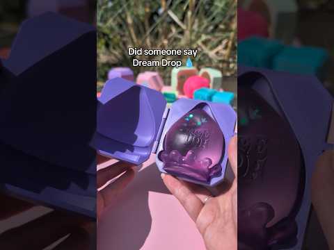 NeeDoh Dream Drop Case