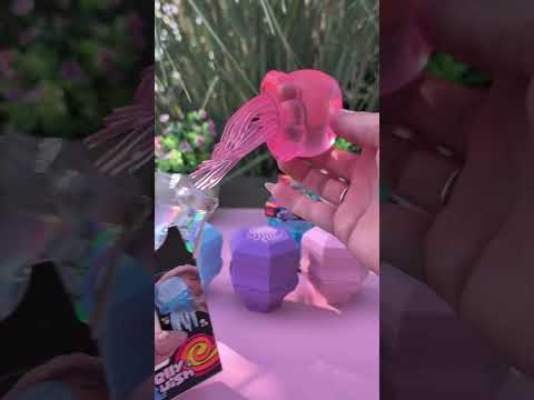 NeeDoh Jelly Squish Storage Case