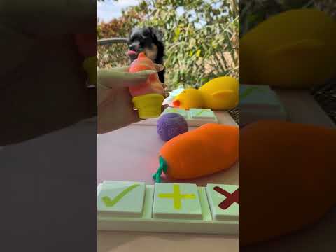 Fidget Trading Clicker Boards